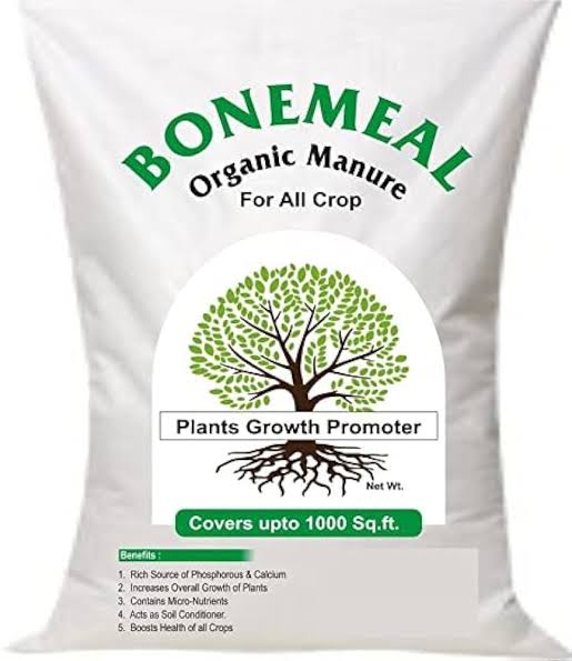 Description of Image